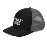 Fairway Discs SnapBack Hat